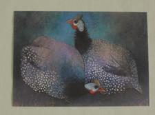 1x Postkarten Perlhühner Loes