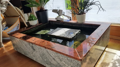Schickes terrarium becken - terrarium, aus