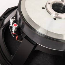 15 Zoll Lautsprecher Treiber