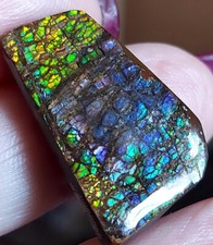 Großer Drachenschuppen