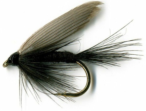 Schwarze gnat nassfliegen - schwarze,