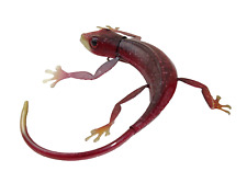 Wanddeko Gecko Deko Tier Figur