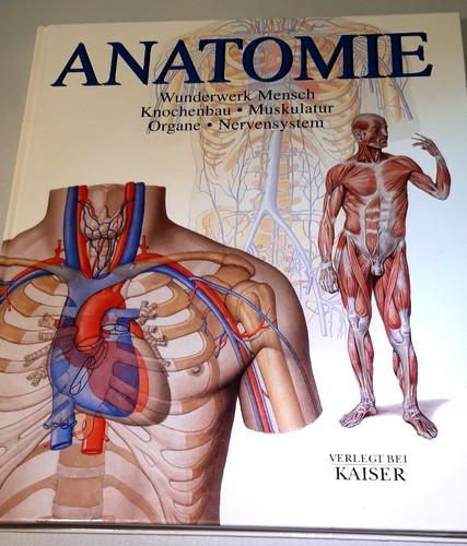 Buch anatomie wunderwerk - buch,