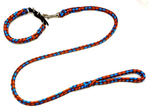 Hundeleine hundehalsband - hundeleine, +