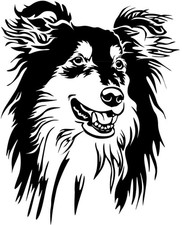 COLLIE Aufkleber -