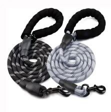 Gepolsterte Hundeleine