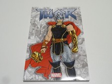 Panini Thor - Die Leiden des