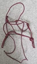 Westernseil Training Kopfband