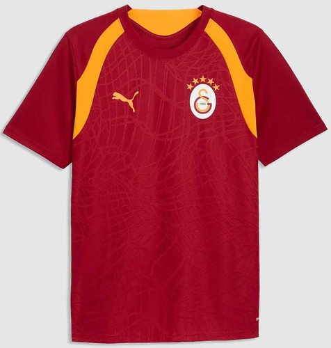 Puma galatasaray istanbul - puma,