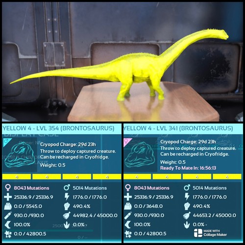 Arche survival ascended pve - arche,