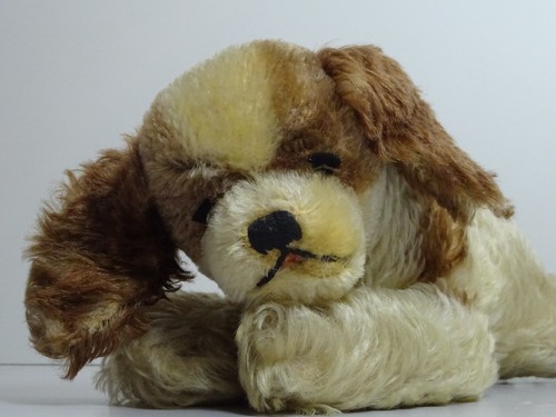 Steiff floppy cockie 7328 hund - steiff,