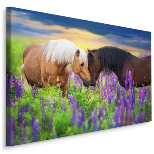 Canvas leinwand bilder - leinwand,