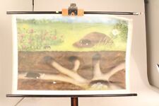 Kunstdruck Maulwurf Schulwandkarte Lehrtafel Wandbild Ansichtskarte Lehrmaterial