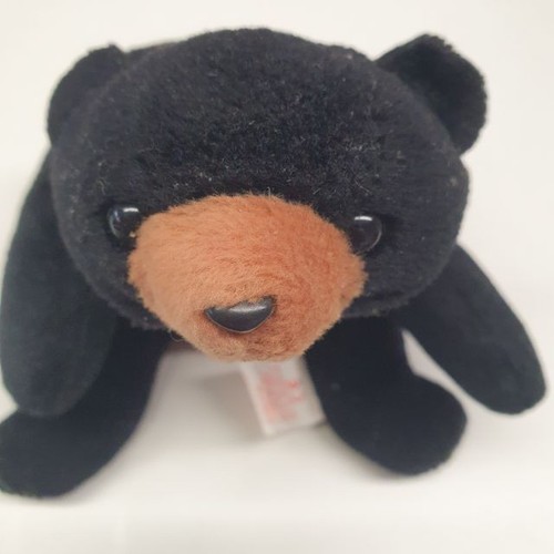 Beanie baby blackie mit - ty,