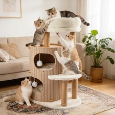 Luxus Katzenbaum kratztonne