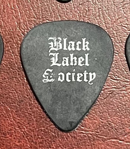 Black label society - black, wylde