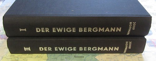 Bergbau der ewige - bergbau,