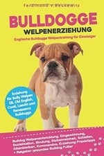 Bulldogge Welpenerziehung