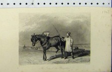 Alter antiker Druck 1847 Wagen