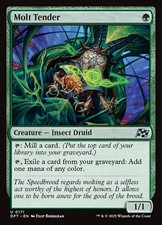 Mtg molt tender - molt, (foil)
