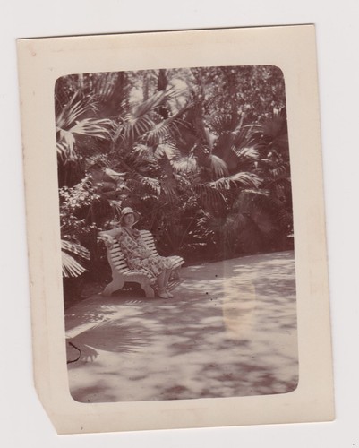 Altes foto frau - foto, 🎞️