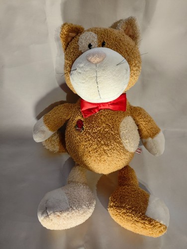 Nici kater katze love - kater,