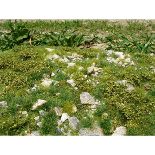 Steinige grasmatte 18x 28cm - steinige,
