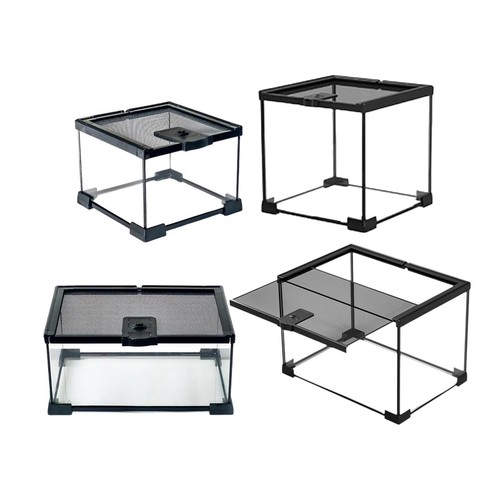 Glass reptile terrarium - reptile,