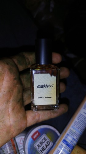 Lush rentless 30ml - lush,