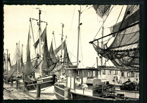 Husum krabbenfischer hafen - im,
