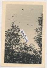 Foto Luftwaffe Flugzeuge in