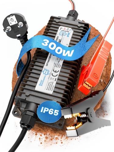 Bauer electronics 48v - |,