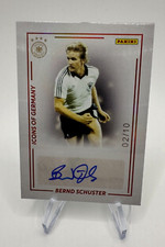 PANINI DFB TEAM-SET 2024 #