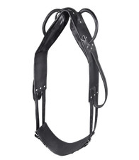 Waldhausen voltigiergurt leder - waldhausen,