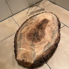 Pflanzenroller 30cm baumscheibe Holz Rollbrett Blumen Topf Untersetzer Rollen