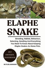 Elaphe Snake: Breeding