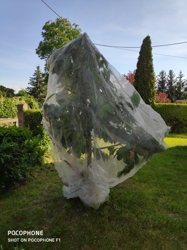 Breite insektenschutznetz - 4m,
