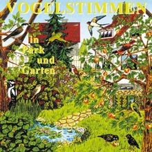 Vogelstimmen park und - in,