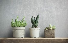 Vliestapete Struktur Uni Beton Optik Hellgrau Silber Metallic 82376 (3,30€/1qm)