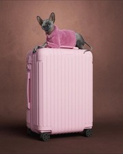 Authentic Limited Edition