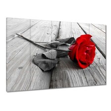 Leinwand Bild Wandbild Canvas