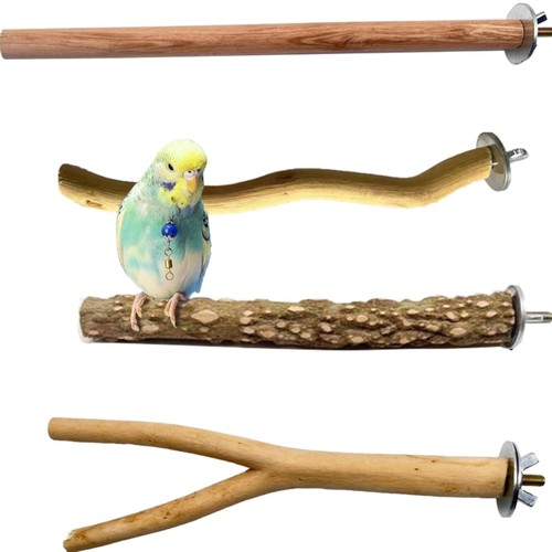 Vogel sitzstangen set natur - sitzstangen,