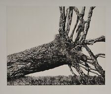 Hans Georg Rauch /Radierung / 100 Exemplare/  handsigniert