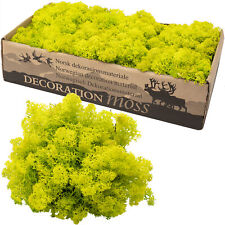 Karton Islandmoos Frühlingsgrün - 500g