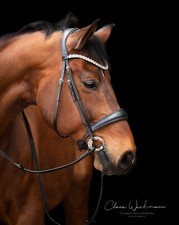 Trense crown glitzer strass - trense,