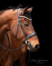 Trense Crown Glitzer Strass Sperrriemen abnehmbar VB WB X Full Schwarz Leder TY