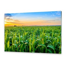 Acrylglasbilder Wandbild aus