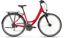 Stevens albis forma - stevens,