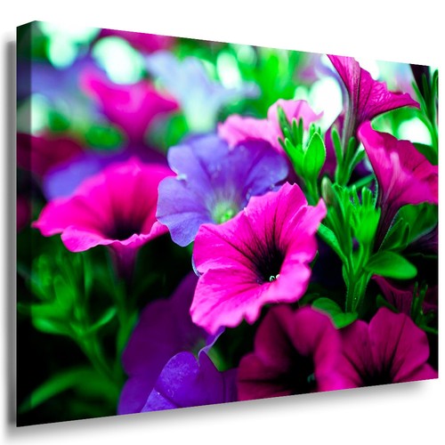 Wandbild xxl pitunien grün - pitunien,