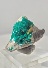 Dioptase Präparat Tsumeb Mine Namibia 